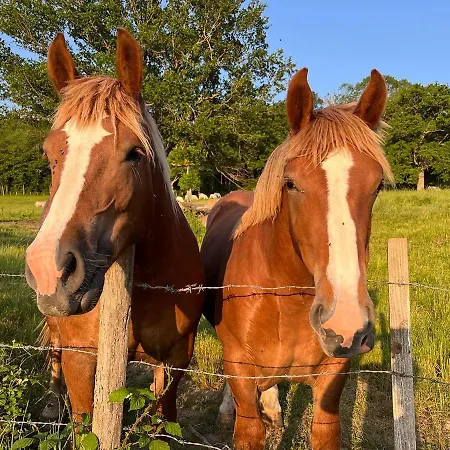 Maison Independante Pour 2 Inclus Tiny House For 2 Included *