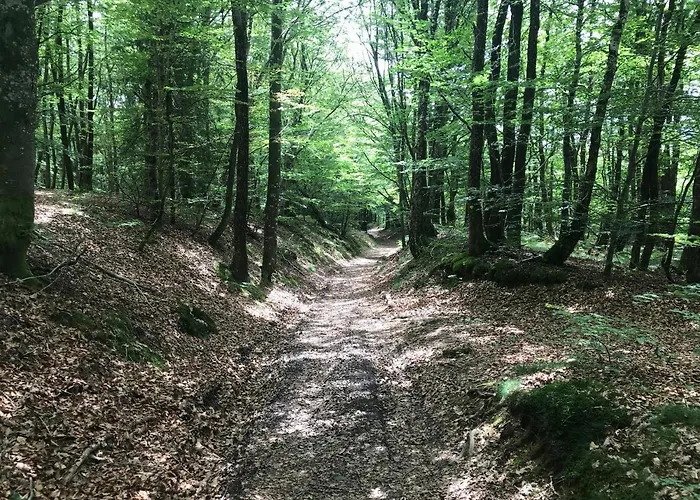 Maison Independante Pour 2 Inclus Tiny House For 2 Included Séjour à la campagne