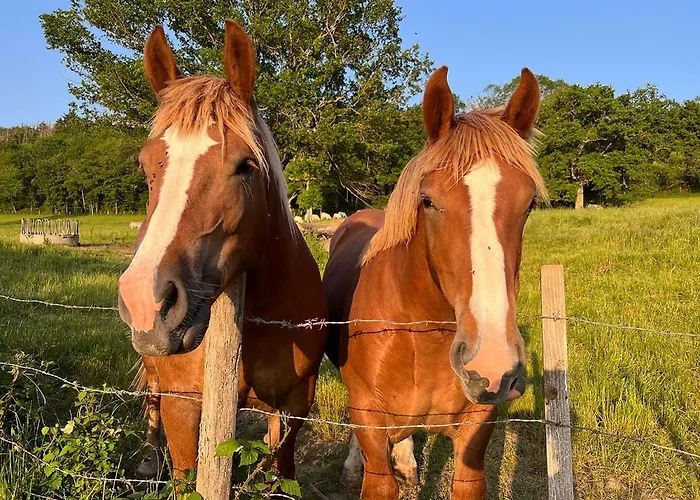 Maison Independante Pour 2 Inclus Tiny House For 2 Included *