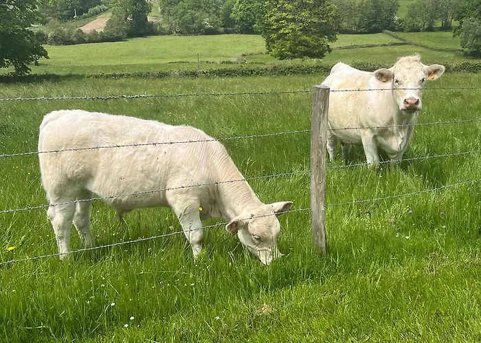 Séjour à la campagne Maison Independante Pour 2 Inclus Tiny House For 2 Included *